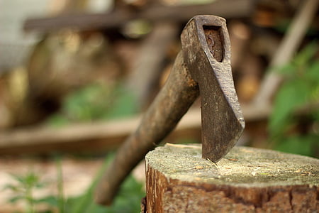brown axe on tree trunk thumbnail