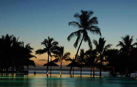 body of water near palm trees thumbnail