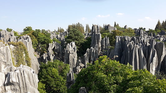 cliff with trees thumbnail
