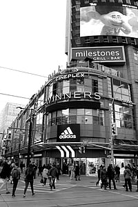 Cineplex Winners signboard thumbnail