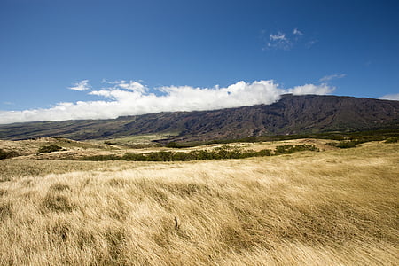 photo of a brown field and cloudy sky thumbnail