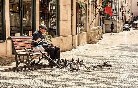 man sitting at bench surrounded by pigeons thumbnail