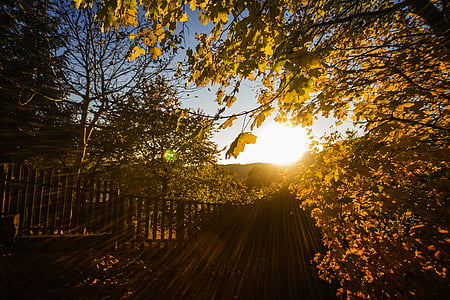 dawn, dusk, fence, landscape, light thumbnail