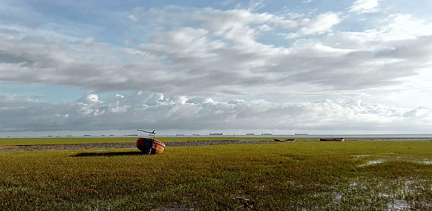 orange container in the middle of grass filed under white sky at daytime thumbnail