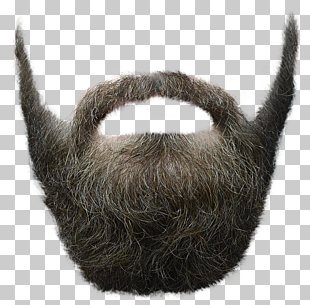 Beard , Beard, bear illustration PNG clipart