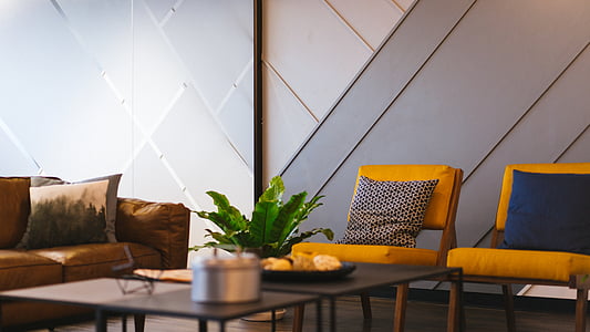fern plant on coffee table inside empty room thumbnail