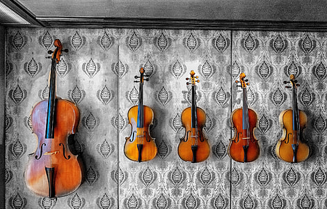 brown violins on wall thumbnail
