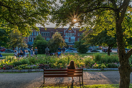 woman sitting on bench under a the shade of tree thumbnail