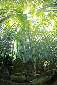 low-angle photography of statuettes on forest thumbnail