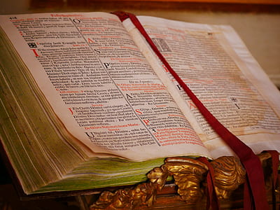 selective focus photography of opened bible thumbnail