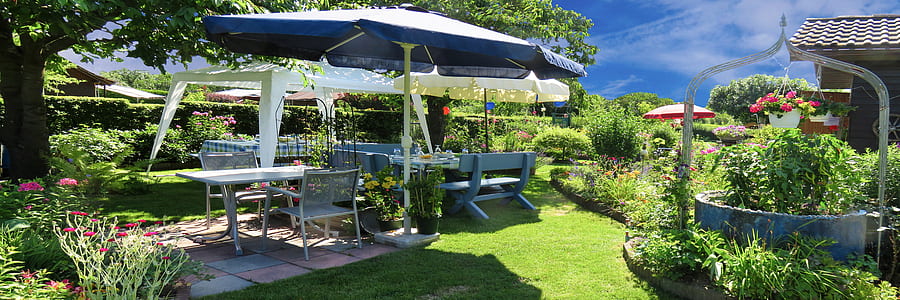 white and blue parasol near benches near green plants thumbnail
