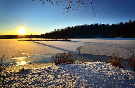 snow covered land beside forest thumbnail