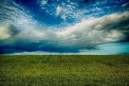 aerial photography of green grass field at day time thumbnail