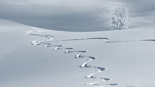 snow pave photo thumbnail