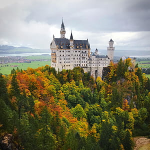 building, architecture, woodland, forest thumbnail