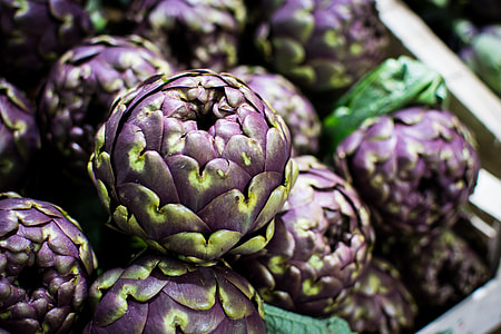 Purple artichoke thumbnail