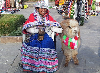 woman holding llama thumbnail
