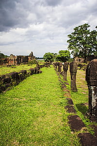 Pathway Covered With Green Grass thumbnail