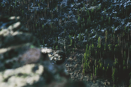 green pine trees on black hill under daytime sky thumbnail