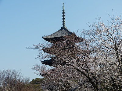 Five-Storied Pagoda, Cherry thumbnail