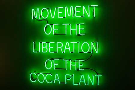 Close-up shot of a green neon sign, image captured in Manhattan, New York City thumbnail