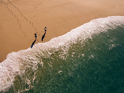 two person walking on seashore thumbnail