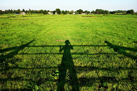 green grass thumbnail