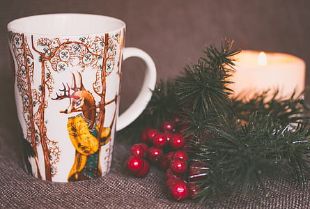 selective focus photography of white and brown mug beside green spruce leaf thumbnail