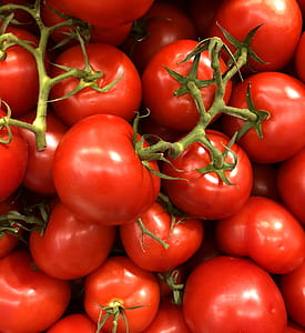 Tomato Lot thumbnail