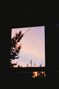 macro shot, window glass, tree, dark thumbnail