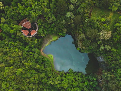 aerial photo of forest and lake thumbnail