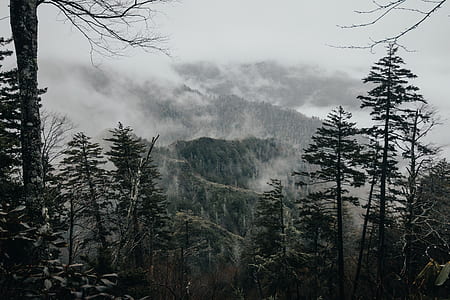 foggy mountain at daytime thumbnail