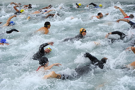 group of people swimming on body of water thumbnail