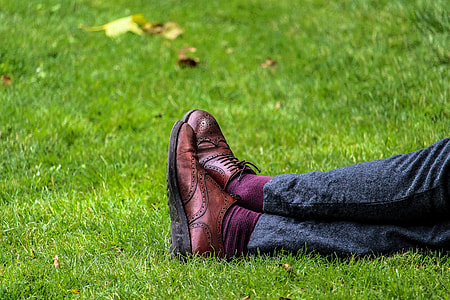 person wearing pair of brown leather wingtip oxford shoes sitting on green grass thumbnail