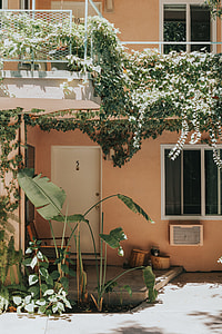 orange 2-storey house surrounded with green leaf plants thumbnail