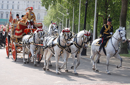 people on red and black carriage with white horses thumbnail