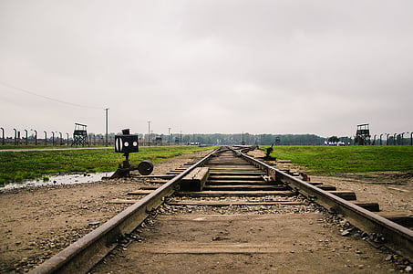 selective focus of train railways at daytime thumbnail