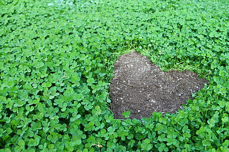 green grass thumbnail