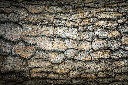gray stone surface thumbnail