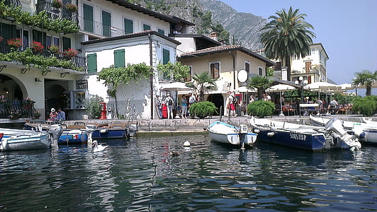 assorted boats docked near shorte thumbnail