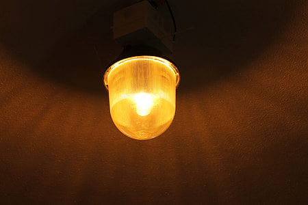 Replacement Lamp, The Light Bulb thumbnail