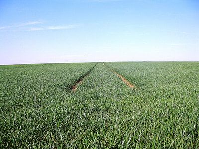 green crops field thumbnail