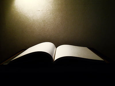 book thumbnail