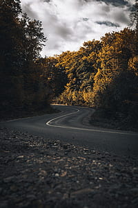 photo of curvy road thumbnail