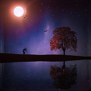 silhouette of person holding stick near tree and body of water thumbnail