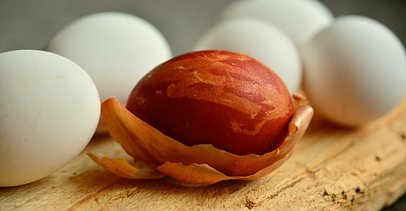 brown nut beside five white eggs thumbnail