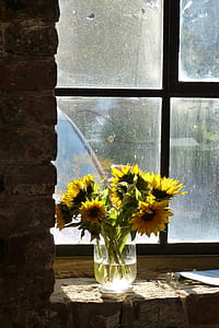 sunflower on clear glass vase thumbnail