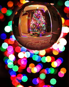 Christmas tree thumbnail