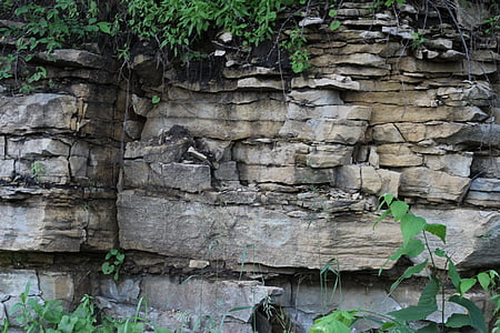 gray stone wall with green leaf plants thumbnail