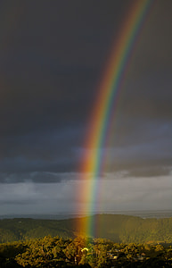 Rainbow under the gray cloudy sky during daytime thumbnail